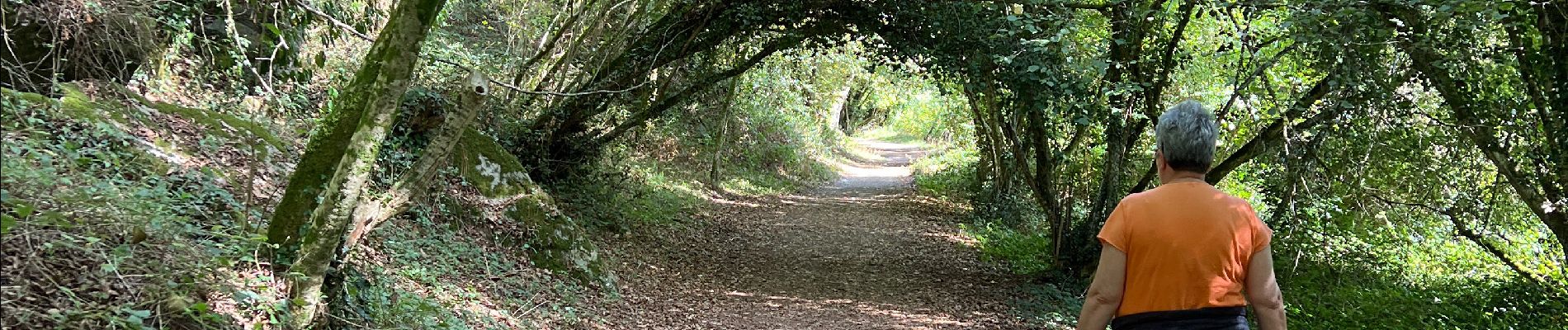 Percorso Marcia Pont-Aven - le bois d'Amour - Photo