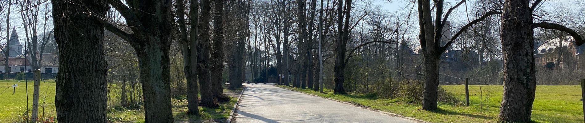 Tocht Stappen Sint-Agatha-Berchem - Tour de l’échangeur 10 km  - Photo