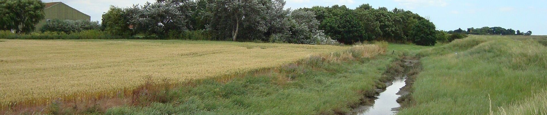 Tour Zu Fuß Rochford - Roach Valley Walk - Photo