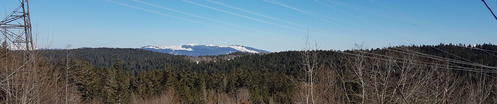 Tour Schneeschuhwandern Haut Valromey - La Manche La Cua Merlogne - Photo