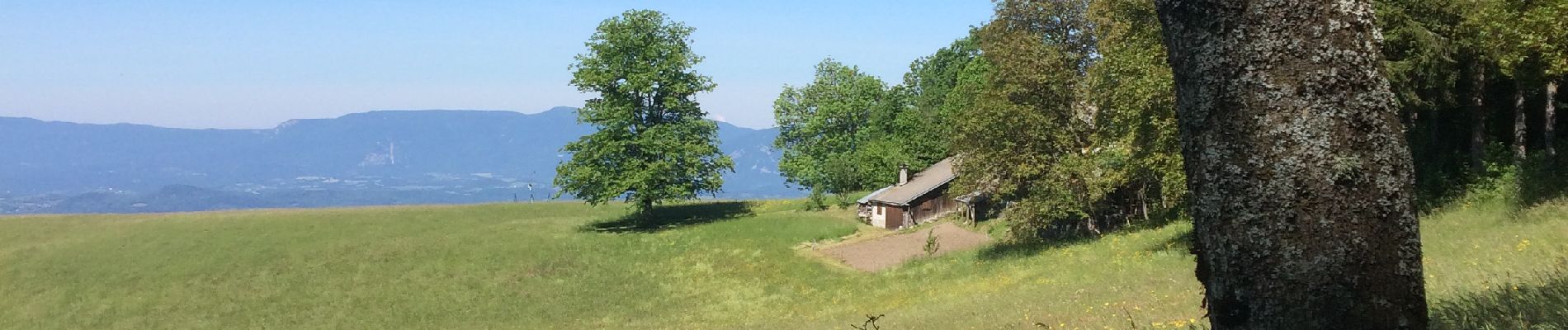 Tour Wandern Ruffieux - Montclergeon LA - Photo