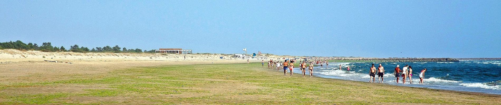 Tour Zu Fuß Vila Real de Santo António - Percurso da Mata - Photo