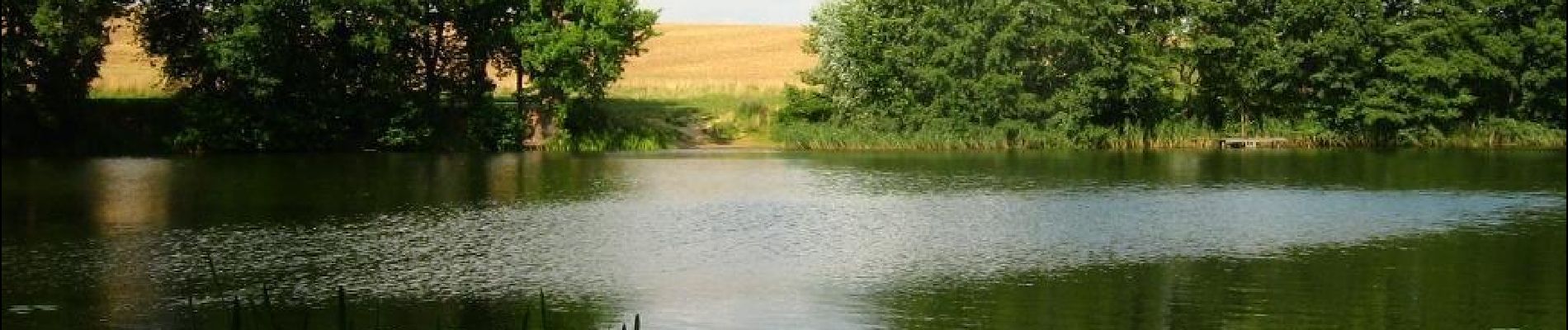 Tour Zu Fuß Stubbendorf - Stubbendorf-Liepen - Photo