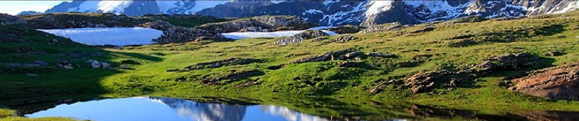 Tocht Stappen Les Deux Alpes - Barrage du Chambon-Lac noir GR54 - Photo