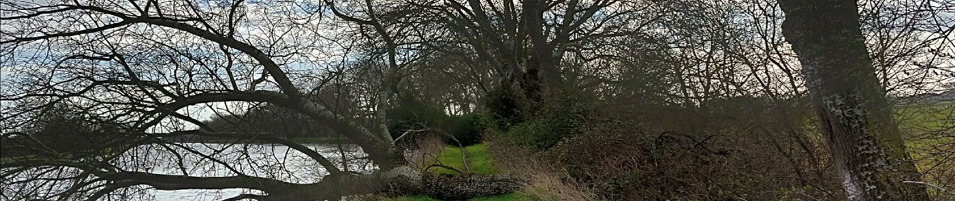 Tour Wandern Busnes - Busnes et le canal d'aire. - Photo