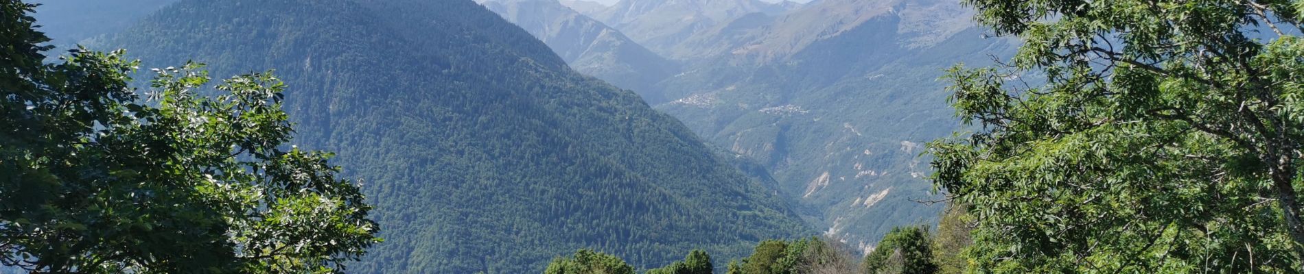 Trail Walking Feissons-sur-Salins - Fesson - Photo