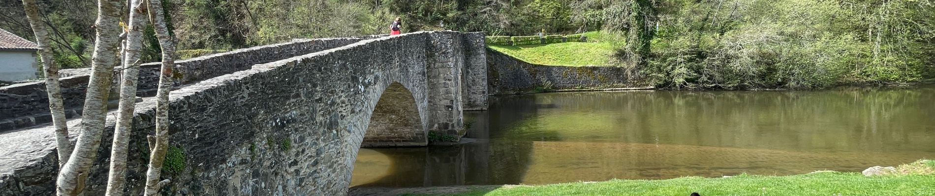 Tour Wandern Solignac - Solignac Château de Chalucet retour Solignac par val de Briance  - Photo