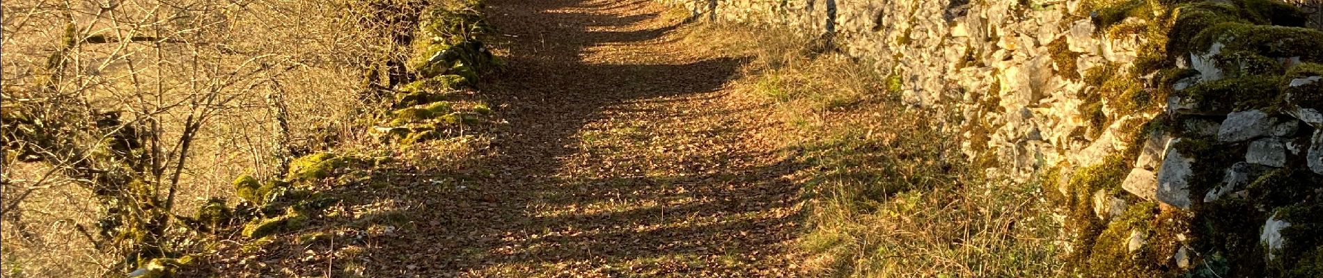 Trail Walking Limogne-en-Quercy - Limogne Malecargue variante  - Photo