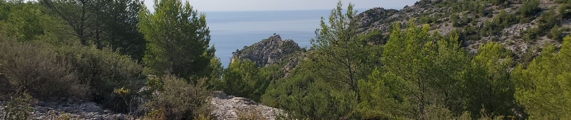 Trail Walking Marseille - Marseille calanques devenson en-vau 17kms 840m  - Photo