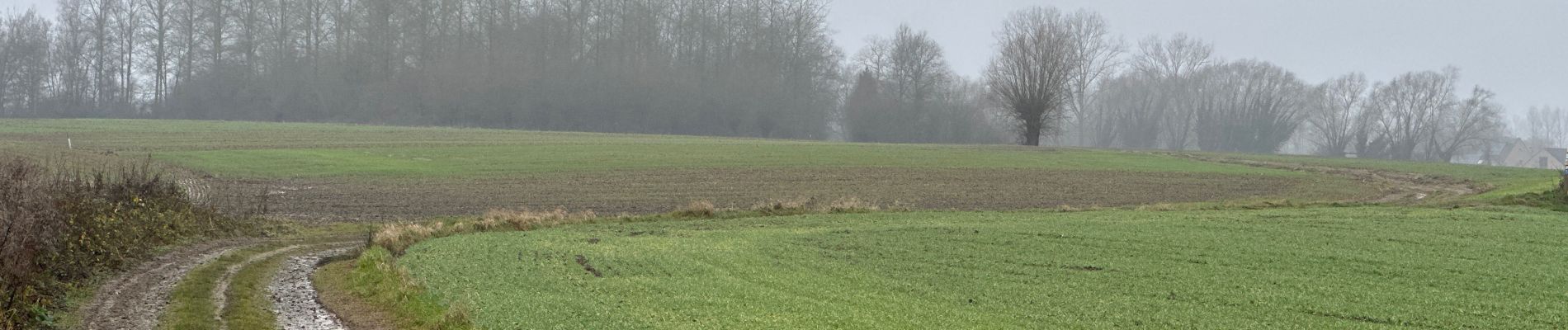 Excursión Senderismo Geraardsbergen - Zandbergen 15,5 km - Photo