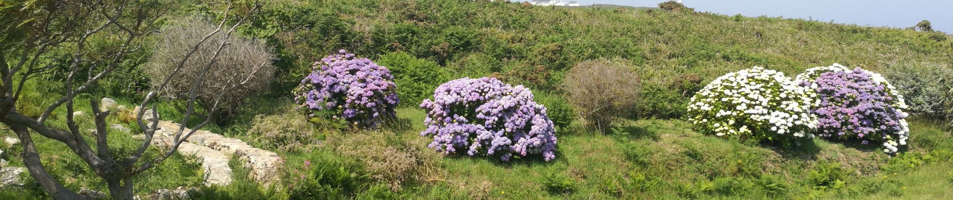 Tour Wandern Ouessant - Lampaul - tour nord d'Ouessant - Photo