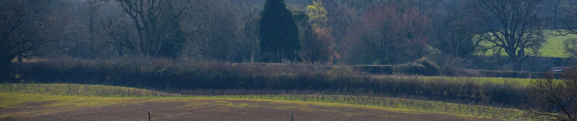 Percorso A piedi Somerset West and Taunton - Herepath Trail - Blagdon Hill - Photo