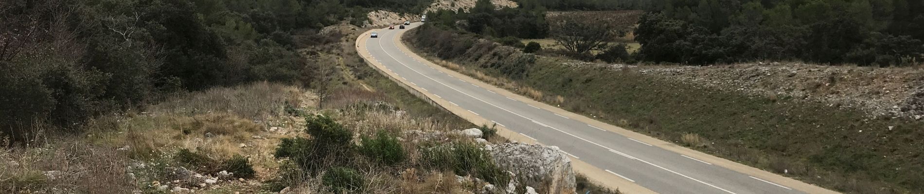 Excursión Bici de montaña Prades-le-Lez - Solo  - Photo