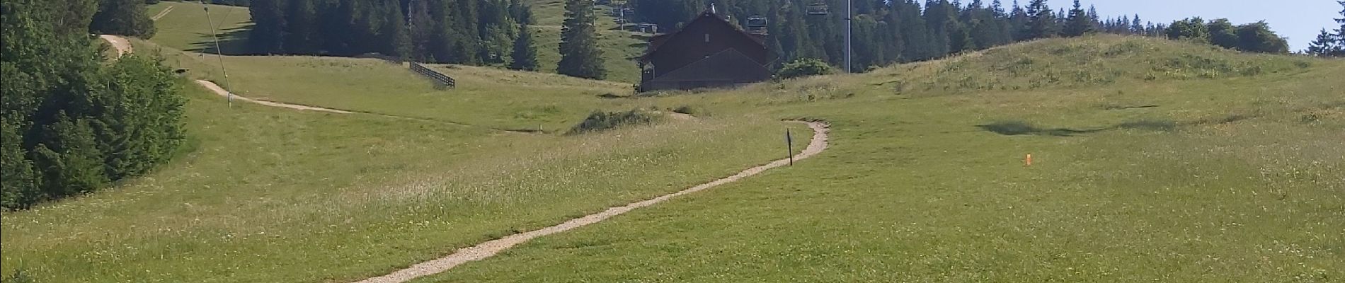 Randonnée Marche Métabief - Metabief/ lac du Morond - Photo