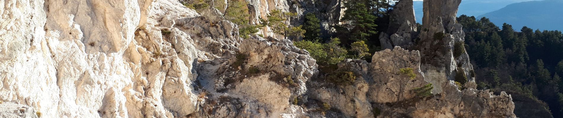 Tocht Stappen Toudon - Baisse des Colettes et Mt Brune de Toudon - Photo