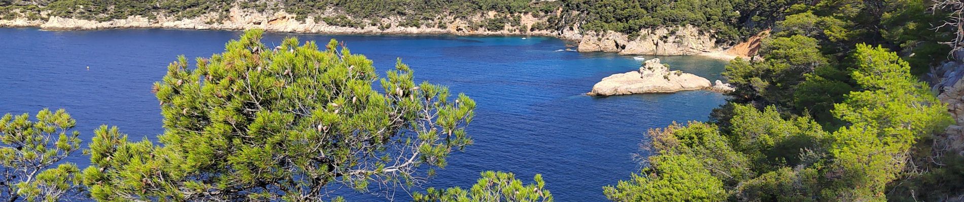 Percorso Marcia Bandol - Petit tour depuis Bandol  vers port d'Alon - Photo