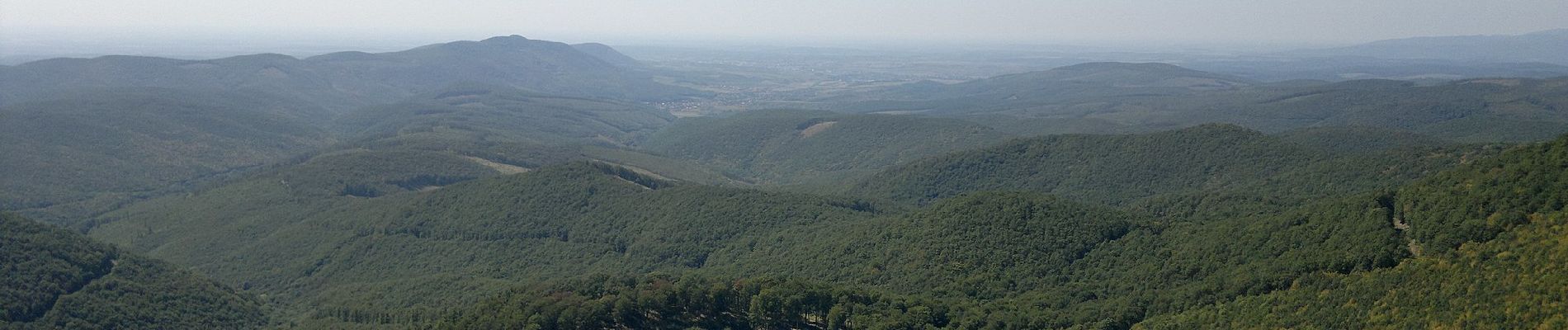 Excursión A pie Szilvásvárad - Bükk-fennsík - Olasz-kapui Tanösvény - Photo