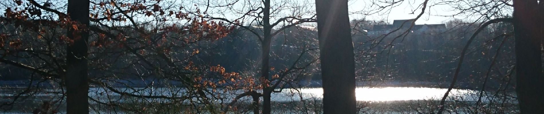 Tour Wandern Bütgenbach - Butgenbach - Photo