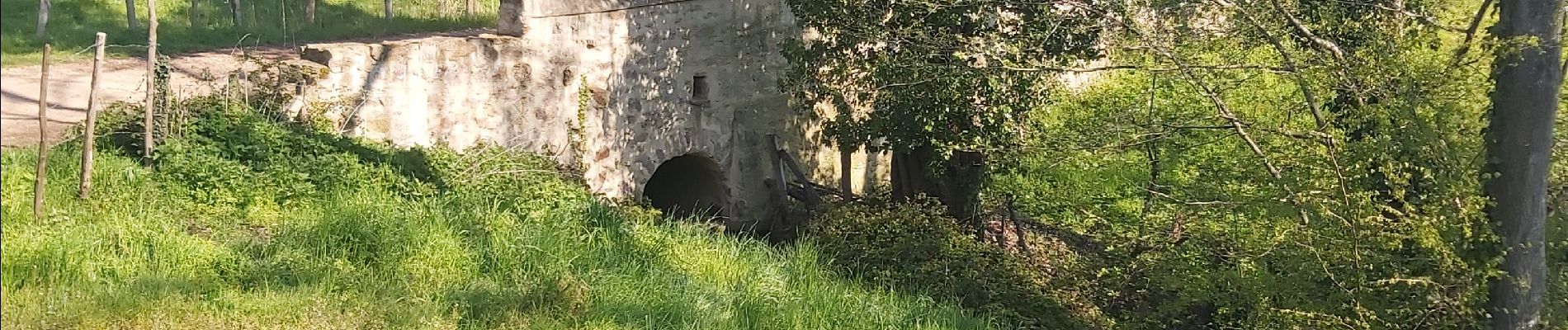 Excursión Senderismo Pollionnay - Pollionay, Croix du Ban, la Luere - Photo