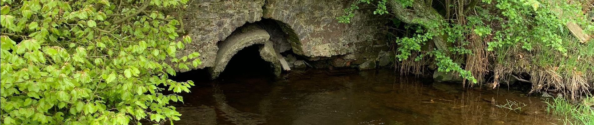 Excursión Senderismo Neufchâteau - Longlier - marche chestrolaise 2019 10km - Photo