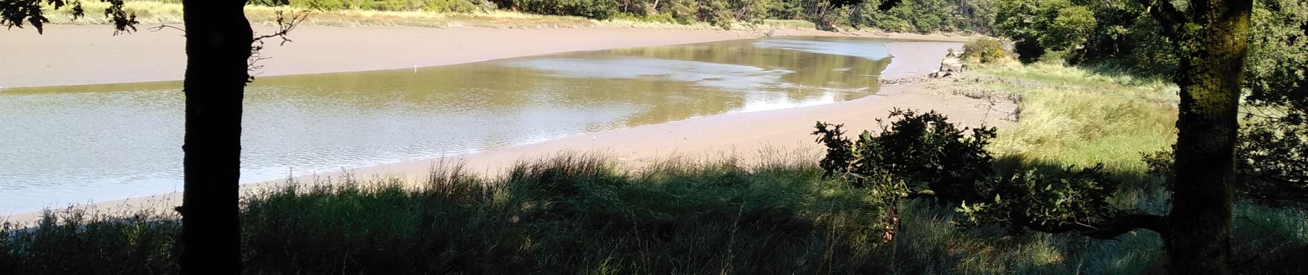 Excursión Senderismo Auray - Le long du Loch  _ Rostevel 13/07/2020 - Photo