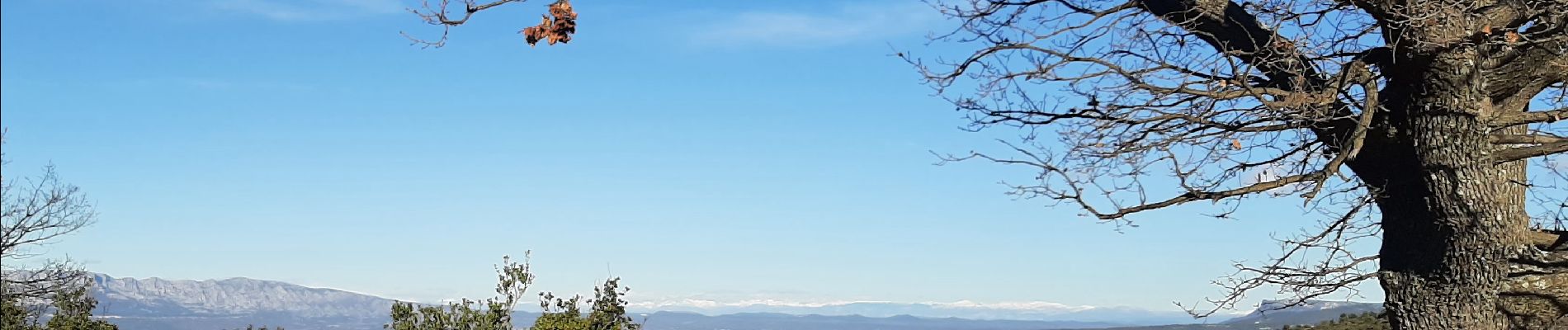 Excursión Senderismo Allauch - Le tour des Grands Ubacs au départ de Pichauris - Photo