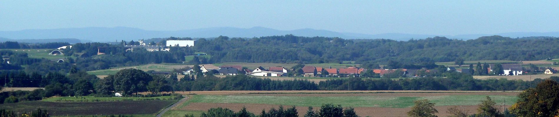 Tocht Te voet Allenfeld - Allenfelder Sonnenrunde - Photo