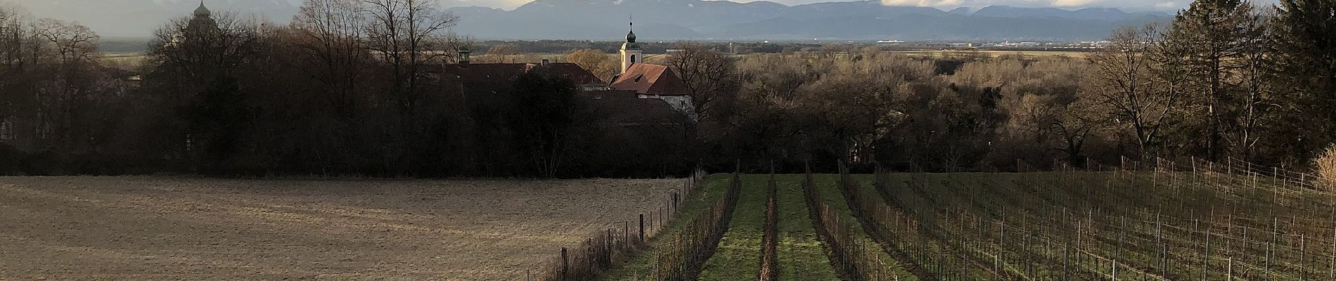 Randonnée A pied Gemeinde Katzelsdorf - Waldrunde (Katzelsdorf) - Photo