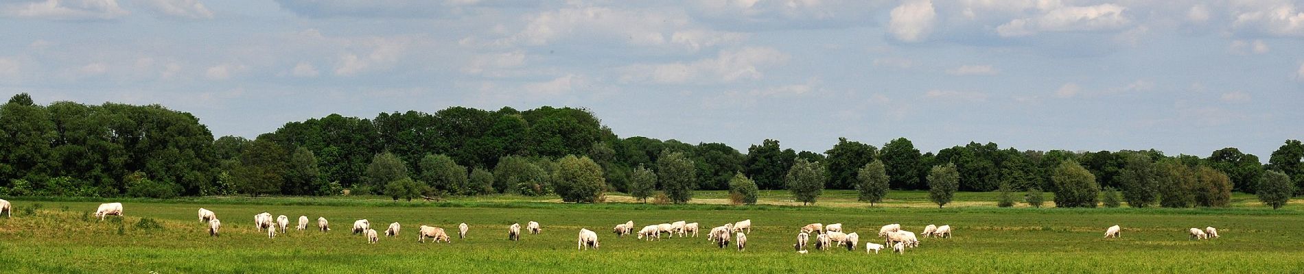 Tour Zu Fuß Unknown - Uckermärker Landrunde: Angermünde - Prenzlau - Gollmitz - Photo