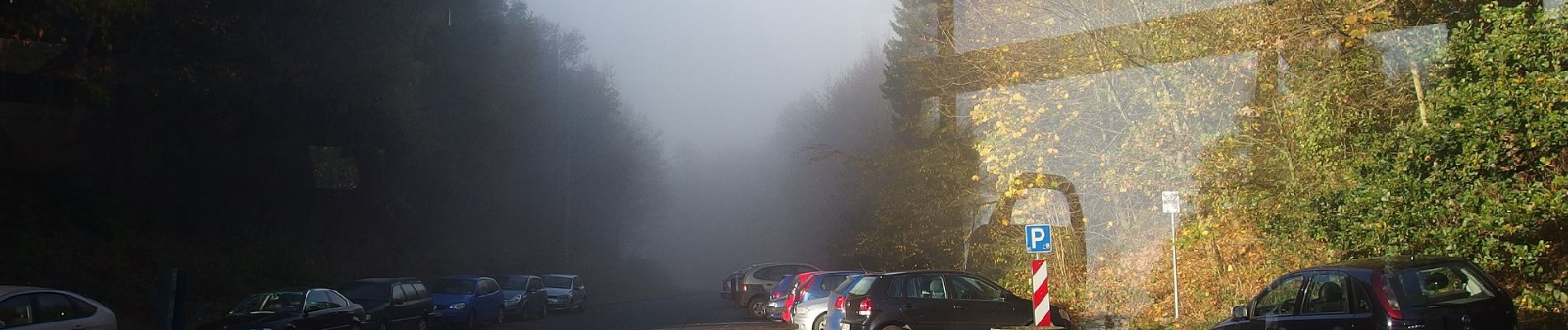 Percorso A piedi Siegen - (K) Klafelder Rundweg - Photo