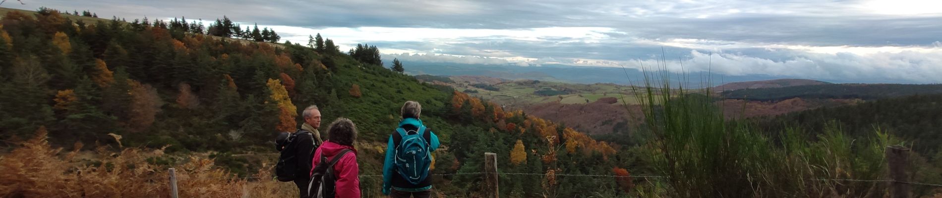 Tour Wandern Bourgs sur Colagne - LES VIOLLES - Photo