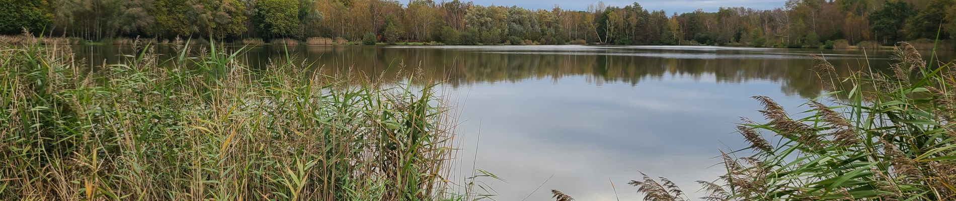 Tour Wandern Fère-en-Tardenois - Fére en Tardenois Parc des Bruyères 1 - Photo