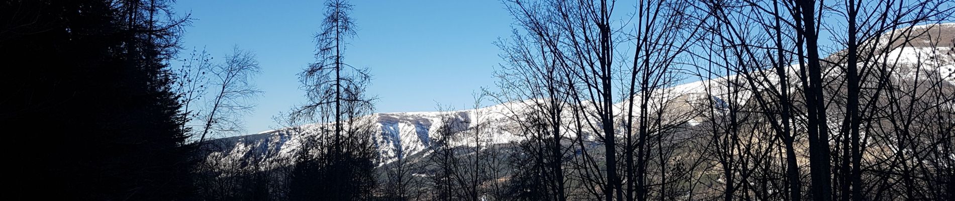 Tour Schneeschuhwandern Colmars - LAUPON 23.02.19 - Photo