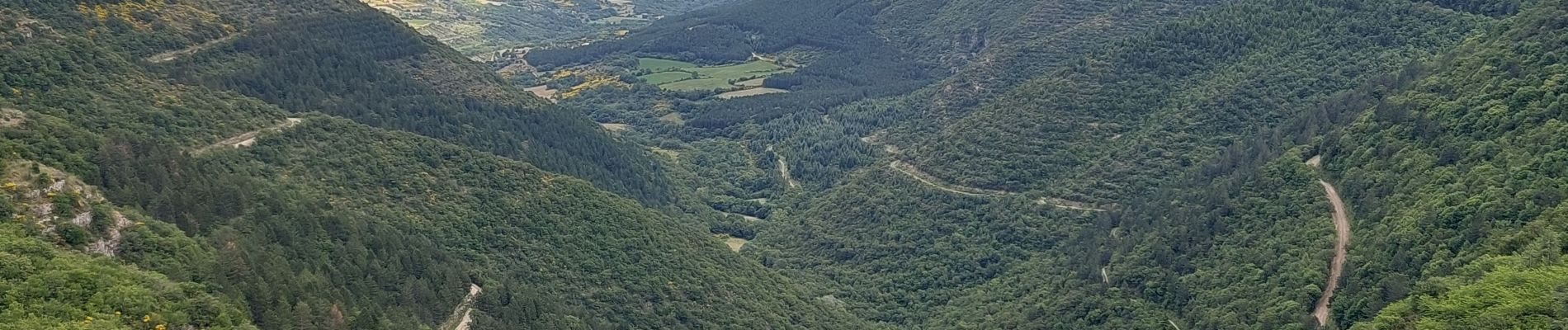 Trail Walking Les Plans - Forêt et cirque de Labeil  - Photo