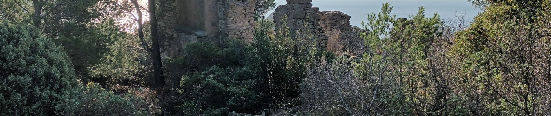 Tocht Stappen La Ciotat - Sémaphore bec de l'Aigle, la Ciotat, 04-10-23  - Photo