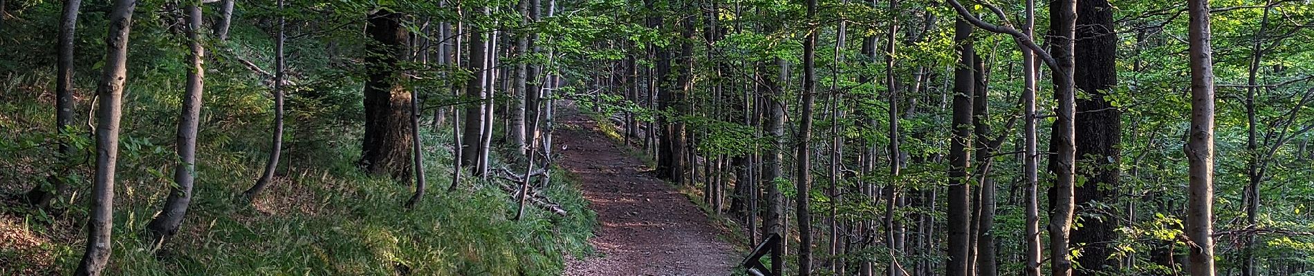 Tour Zu Fuß Košařiska - NS Po stopách salašnictví - Photo