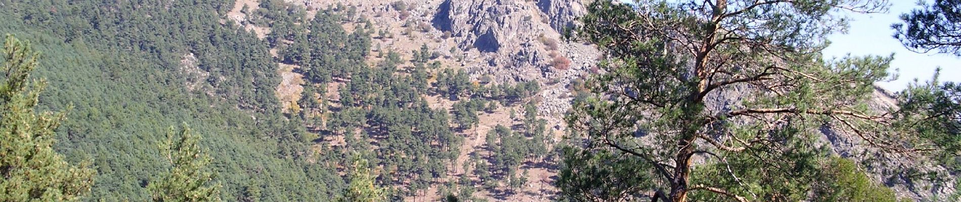 Randonnée A pied San Lorenzo de El Escorial - Senda de los Tesoros de Abantos - Photo