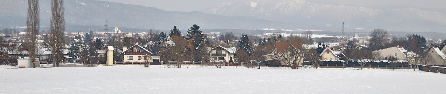 Tour Zu Fuß Gemeinde Natschbach-Loipersbach - Rundwanderwege Natschbach - Loipersbach - Lindgrub NL2 - Photo