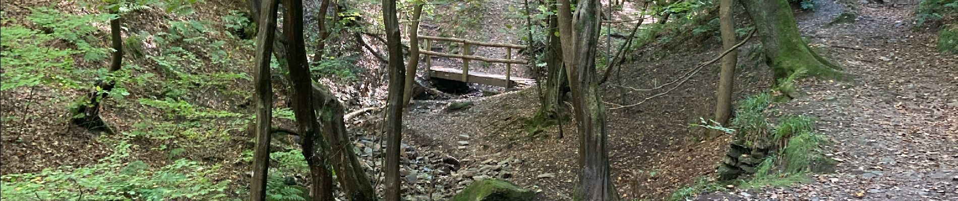 Randonnée Marche Chaudfontaine - Chaufontaine  - Photo