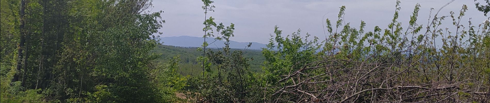 Trail Walking Artas - rando du 9 mai 2021 - Photo