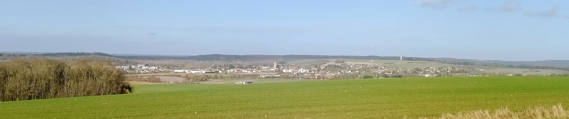 Tocht Stappen Villeneuve-sur-Fère - Villeneuve-sur-Fère du 17-02-2022 - Photo