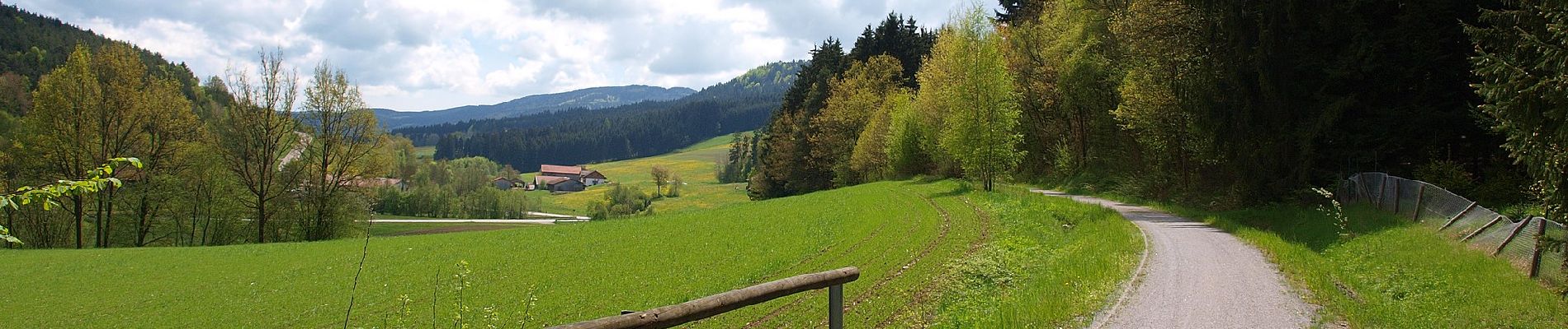 Excursión A pie Rattenberg - Hammersdorfer Rundweg (Rattenberger Wanderweg 6) - Photo