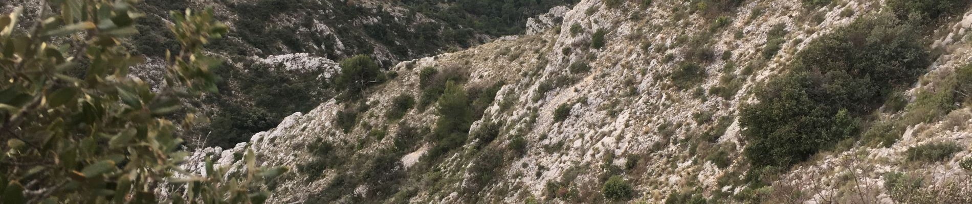 Randonnée Course à pied Cheval-Blanc - Luberon-19122019 - Photo