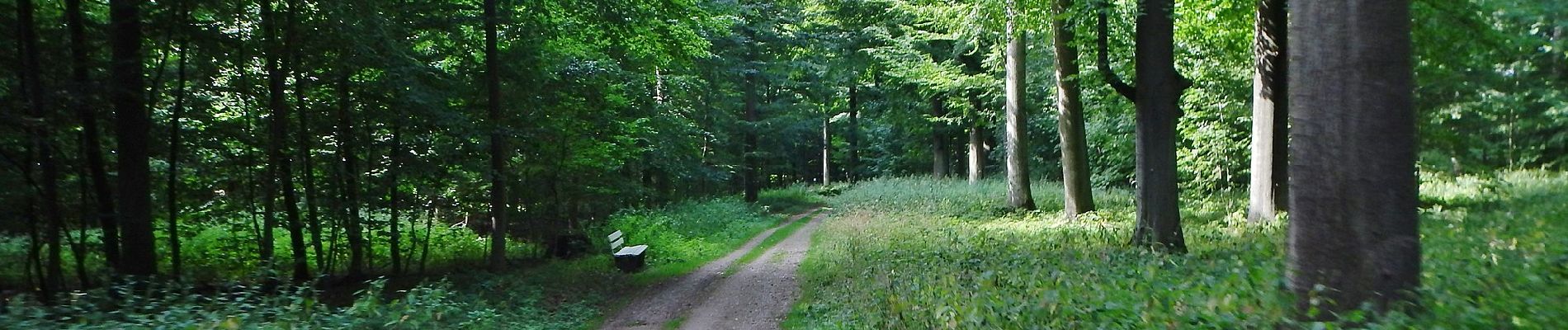 Excursión A pie Scharbeutz - Neukoppel - Photo