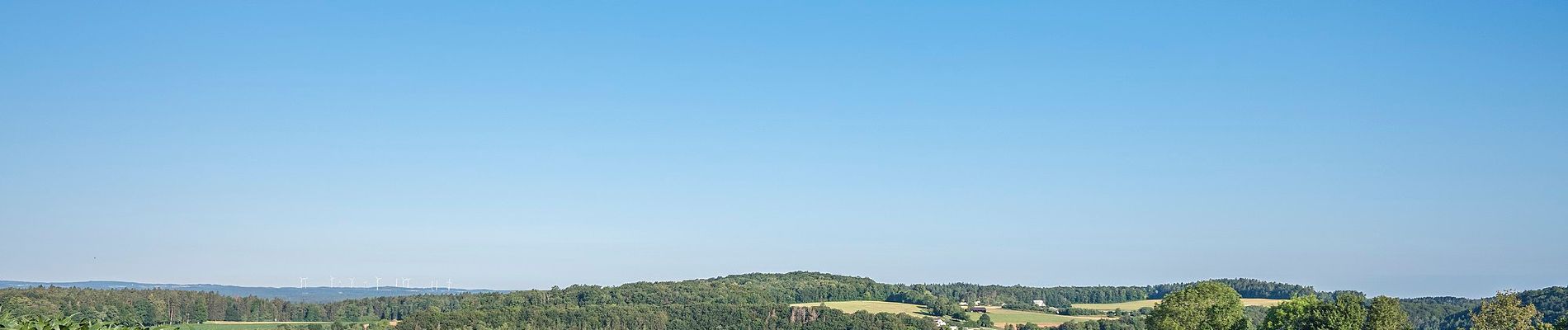 Tocht Te voet Mistelgau - Obernsees Rundwanderweg 