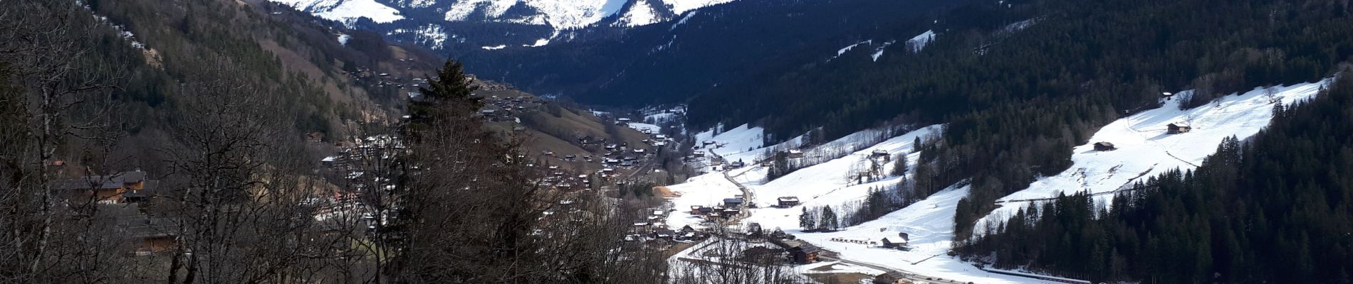 Percorso Marcia Le Grand-Bornand - circuit replein ( le grand bornand ) ( Michel ) - Photo