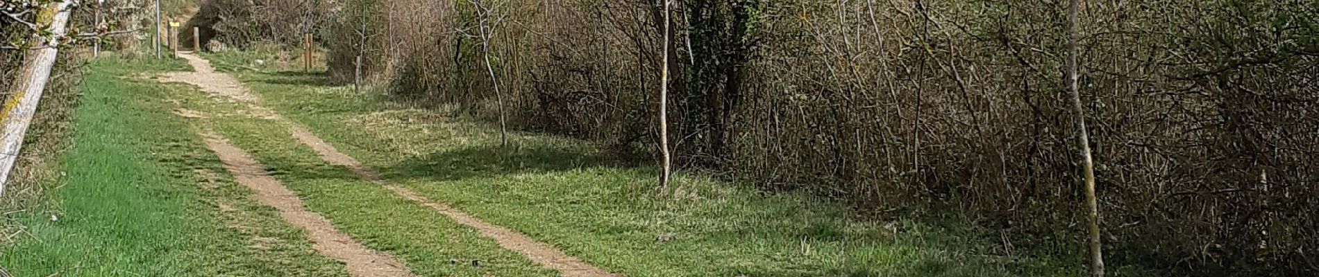 Percorso Marcia Cournon-d'Auvergne - LES COTEAUX DE COURNON - Photo