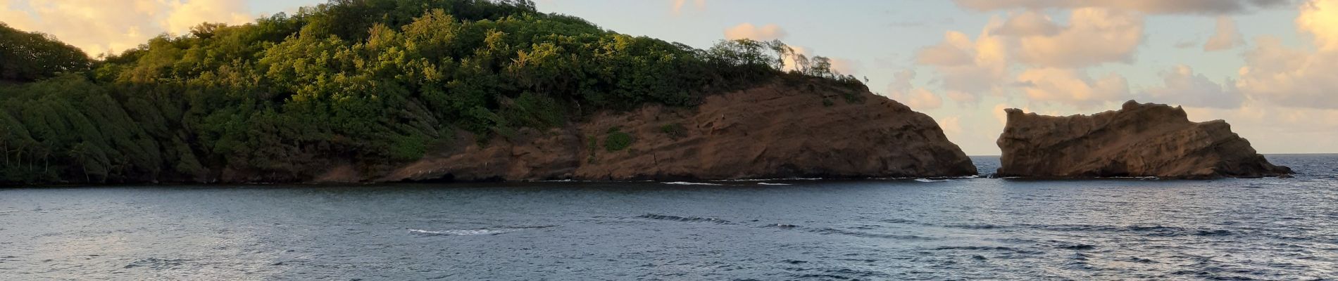 Excursión Senderismo Sainte-Marie - raccourci de l'anse à zéro vers anse du four.  - Photo