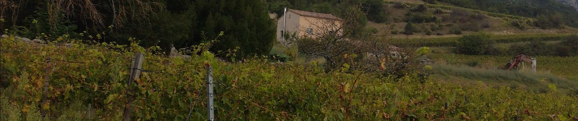 Percorso Marcia Vercheny - Château de Barry - Photo