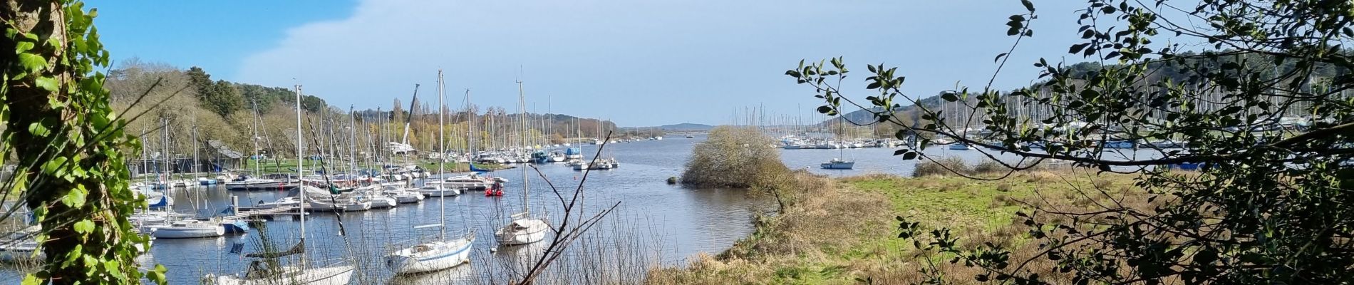 Excursión Senderismo Béganne - FOLLEUX 17 MARS 2022 CA - Photo